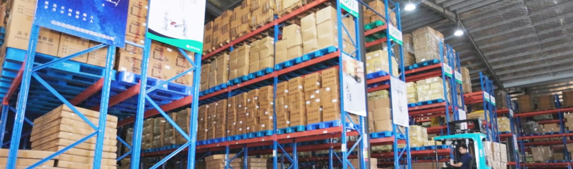 Chất lượng kéo lên quần không kiềm chế Dịch vụ