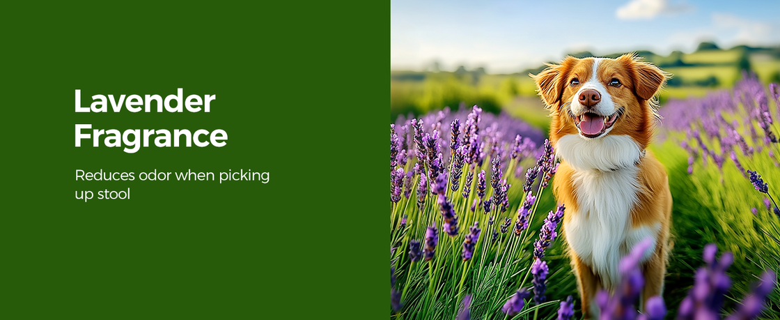Eco-friendly biodegradable pet poop bags with customizable sizes for hygienic waste handling